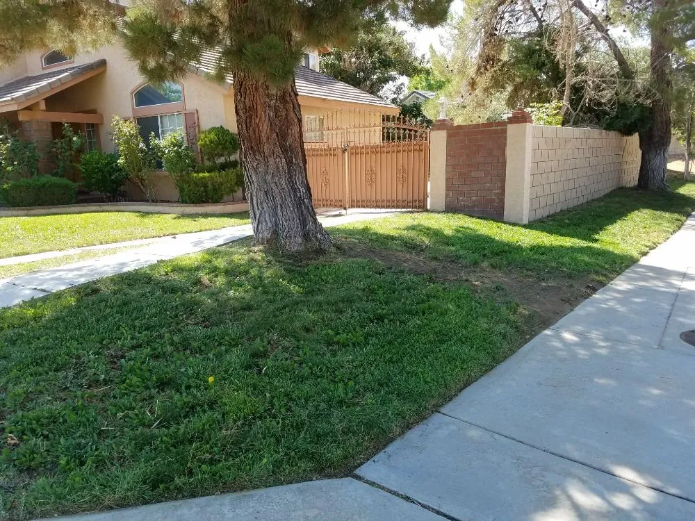 Local landscape design for homes in Lancaster, CA by Mark's Lawn Care