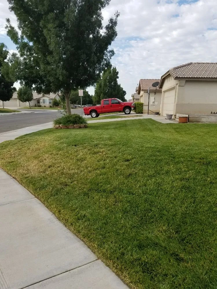 Trusted residential landscaping for homes across Lancaster, CA - Mark's Lawn Care