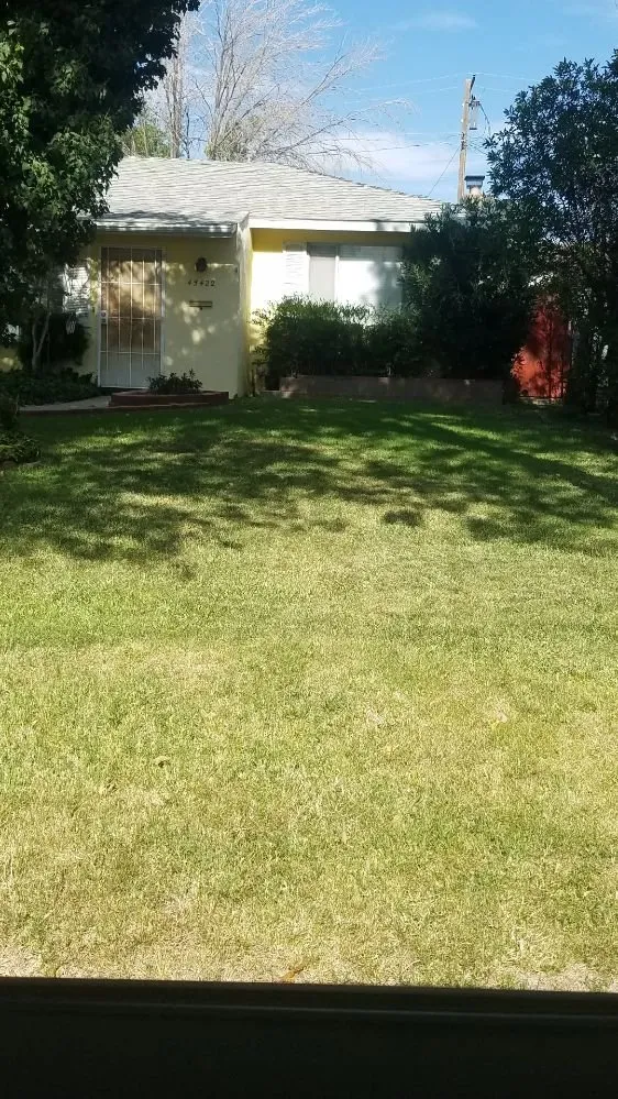 Professional yard maintenance in Lancaster, CA by Mark's Lawn Care