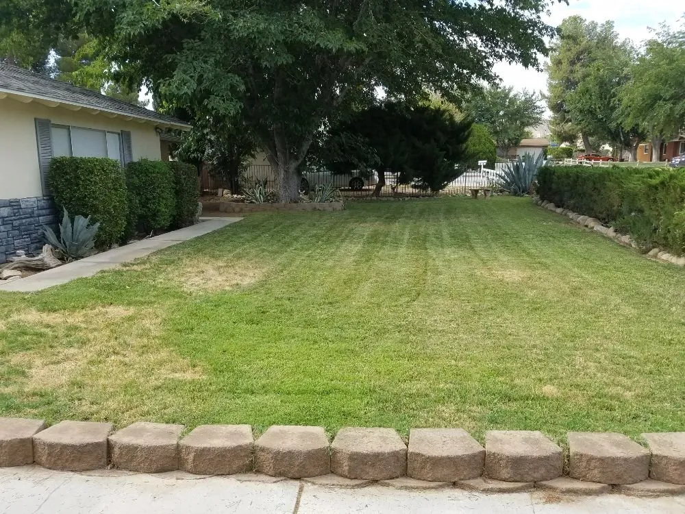 Professional residential landscaping for outdoor upgrades in Lancaster, CA by Mark's Lawn Care