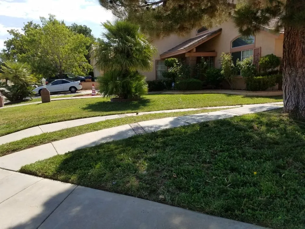 Custom landscaping services in Lancaster, CA by Mark's Lawn Care