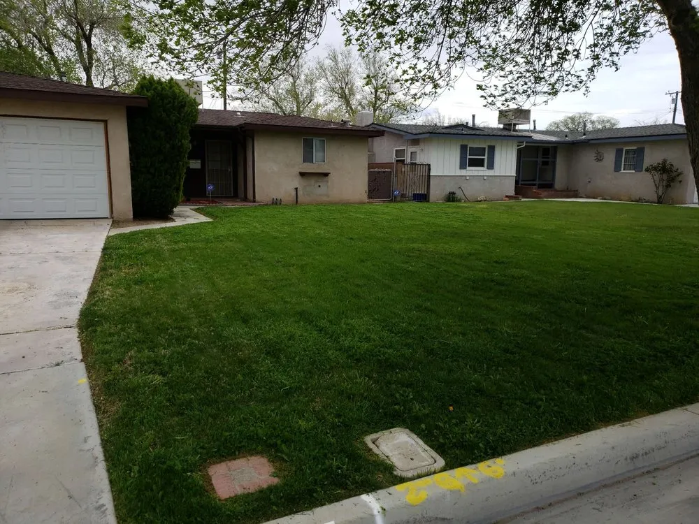 Professional landscape installation for year-round maintenance in Lancaster, CA by Mark's Lawn Care