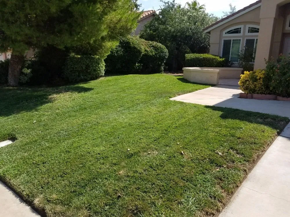 Custom yard cleanup service experts serving Lancaster, CA - Mark's Lawn Care