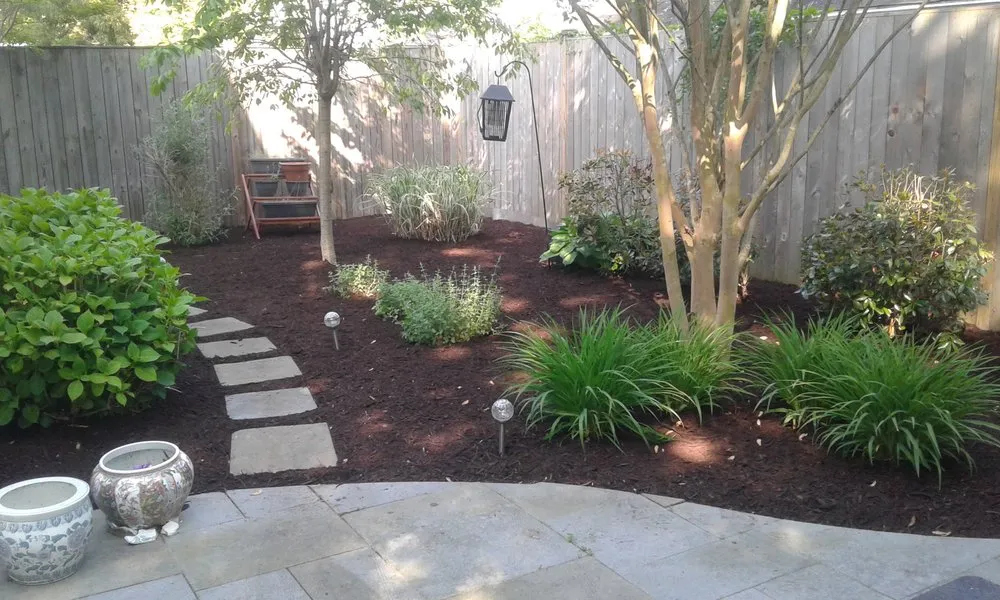 Professional yard cleanup service for residential properties across Nassau, DE - Mark's Lawn Care