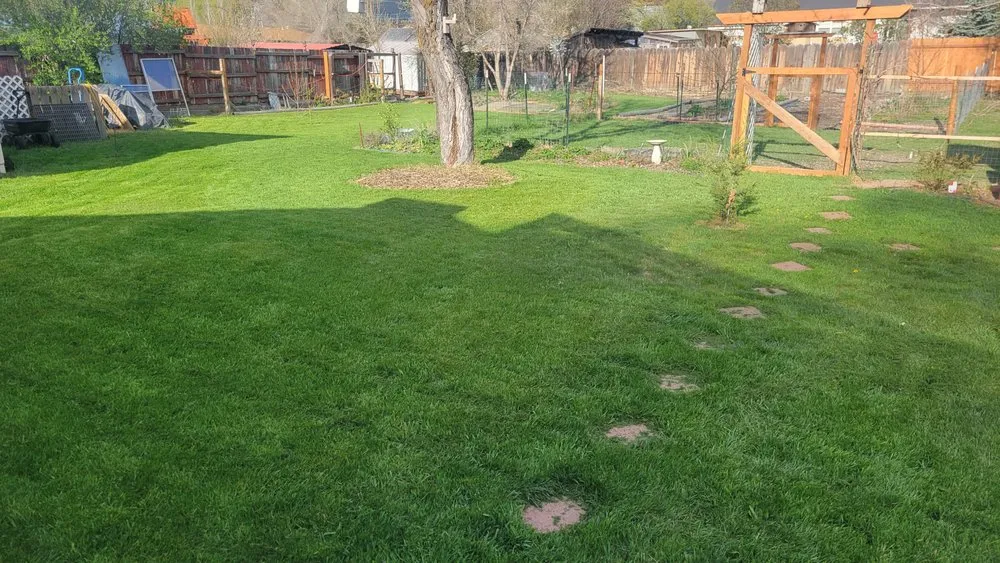 Affordable yard maintenance in Klamath Falls, OR by Mark's Lawn Care Service