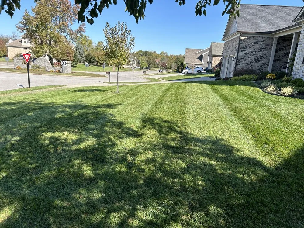 Custom yard maintenance experts serving Georgetown, KY - Marks Lawn Maintenance