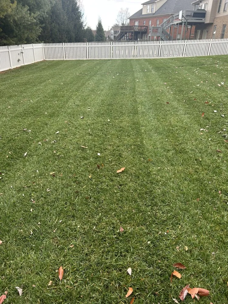 Professional landscape design for homes across Georgetown, KY - Marks Lawn Maintenance