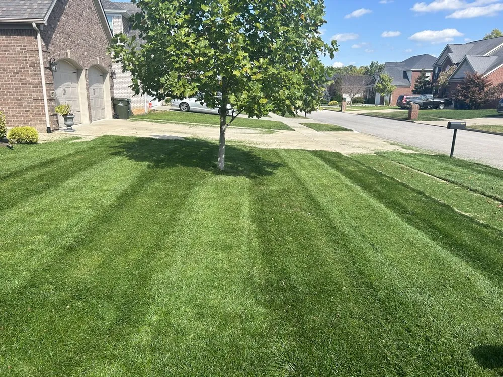 Professional outdoor landscaping experts serving Georgetown, KY - Marks Lawn Maintenance