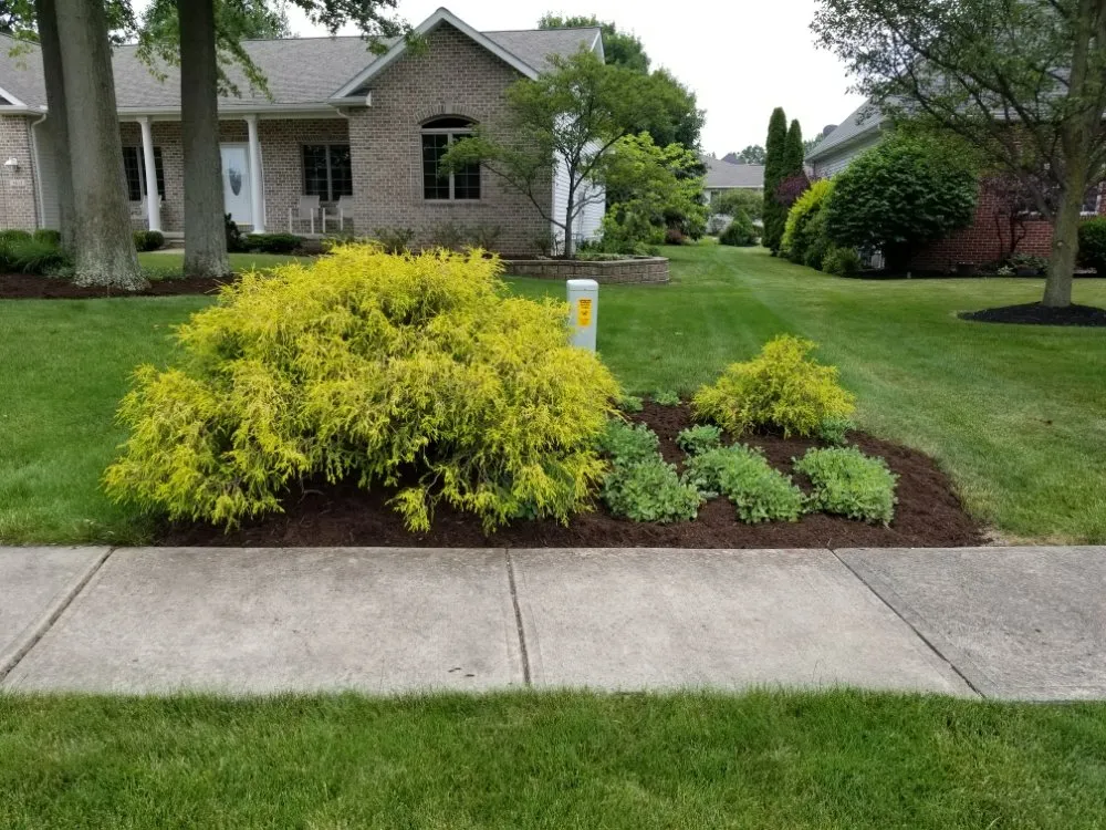 Professional yard maintenance experts serving Lorain, OH - Mark's Lawn Maintenance