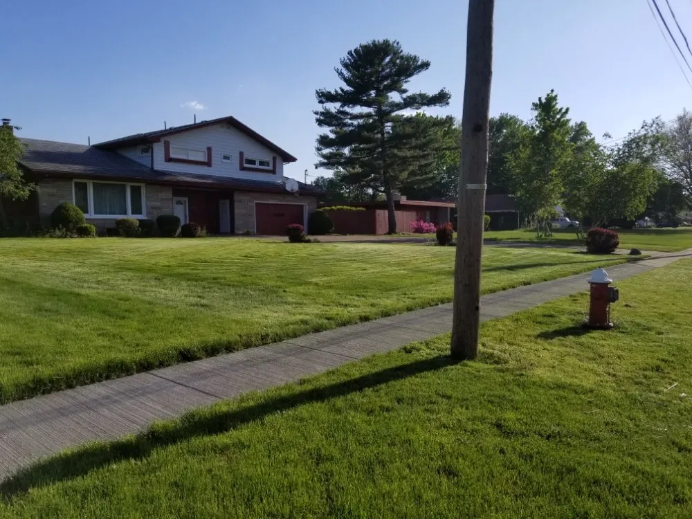 Trusted lawn care service for year-round maintenance across Lorain, OH - Mark's Lawn Maintenance