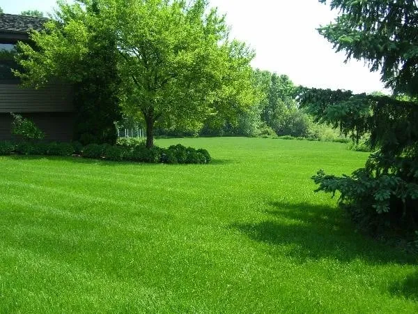 Top-rated yard cleanup service for homes in Merritt Island, FL by Mark's Lawn Service