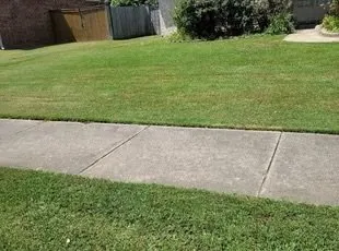 Local yard cleanup service for residential properties in Strongsville, OH by Mark’s Lawn