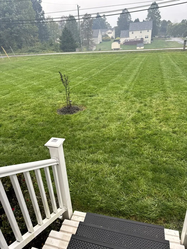Local yard cleanup service with custom design in Stanardsville, VA by Marks Mow & Grow