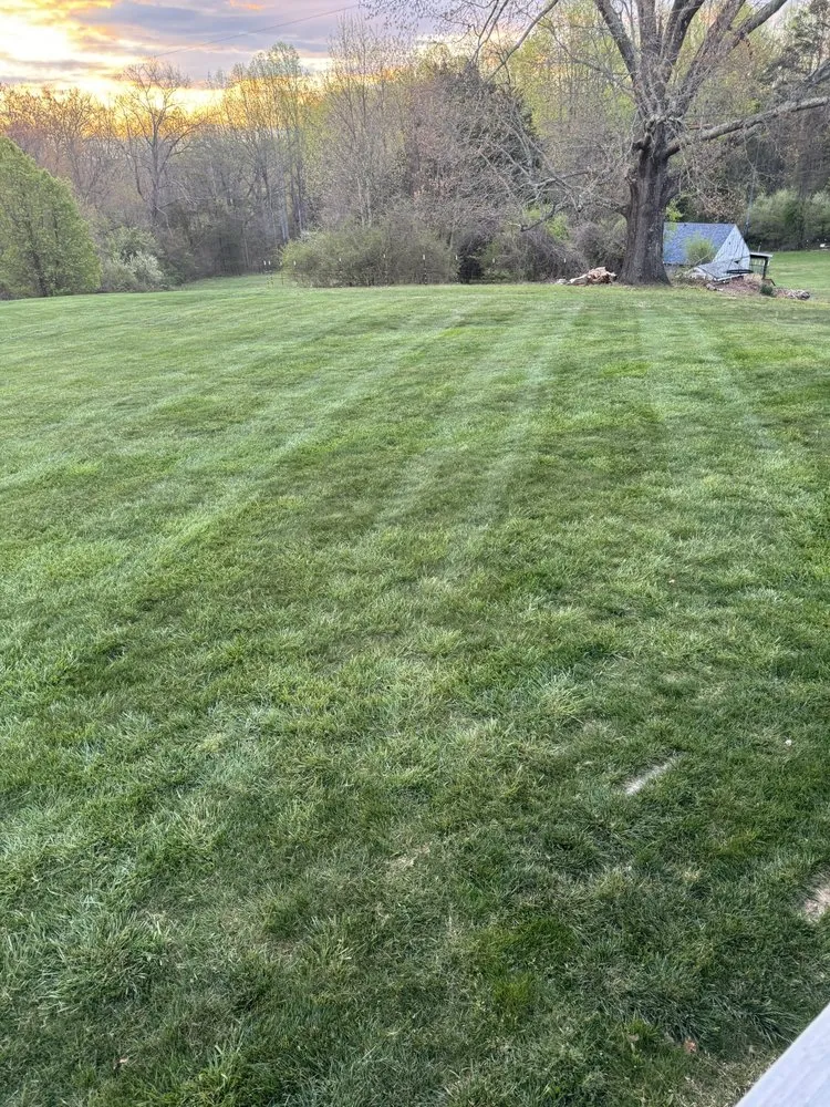 Local lawn care service in Stanardsville, VA - Marks Mow & Grow