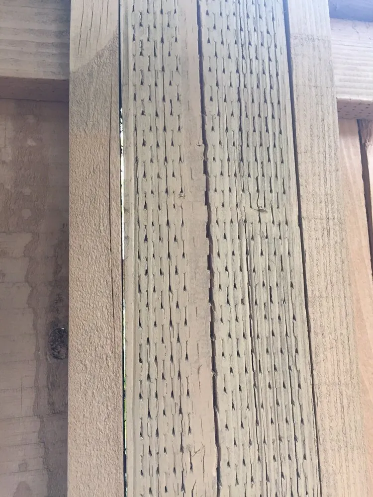 Expert lawn care service in Orangevale, CA by Mark's One Stop Shop