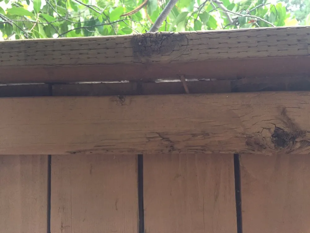 Professional landscape installation for year-round maintenance across Orangevale, CA - Mark's One Stop Shop