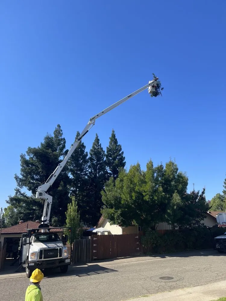 Trusted yard cleanup service in Orangevale, CA by Mark's One Stop Shop