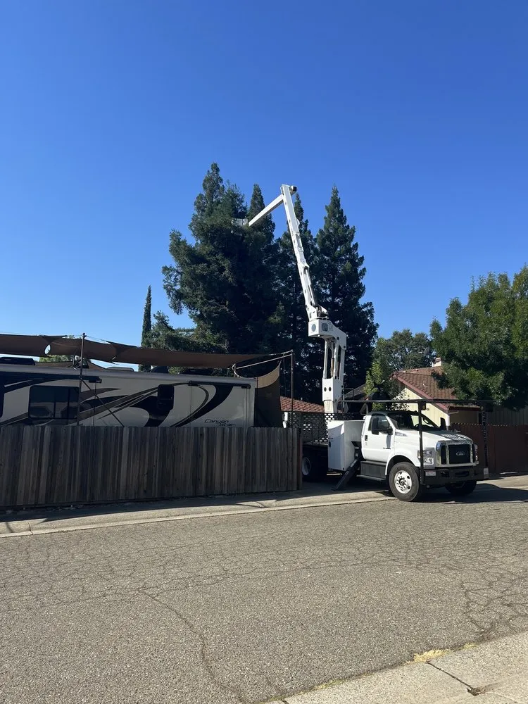 Local outdoor landscaping experts serving Orangevale, CA - Mark's One Stop Shop