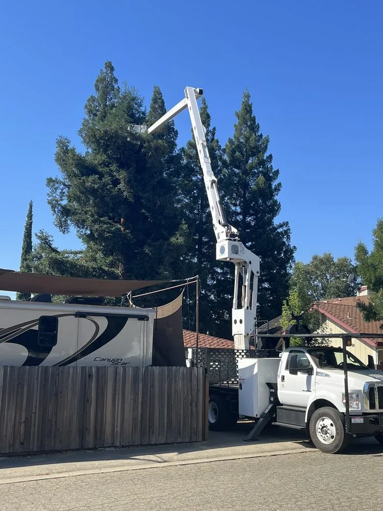 Local landscape design in Orangevale, CA by Mark's One Stop Shop