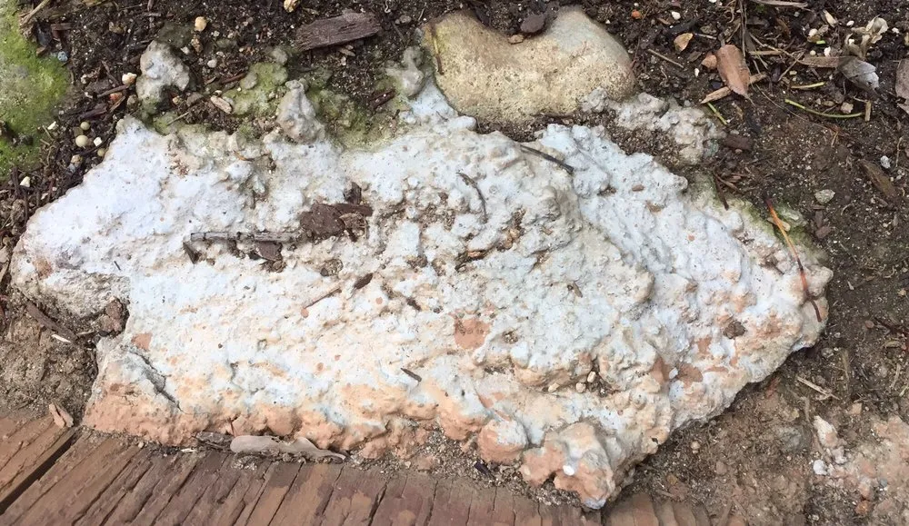 Professional outdoor landscaping in Orangevale, CA by Mark's One Stop Shop