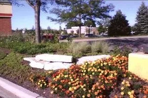 Mark's Quality Landscaping