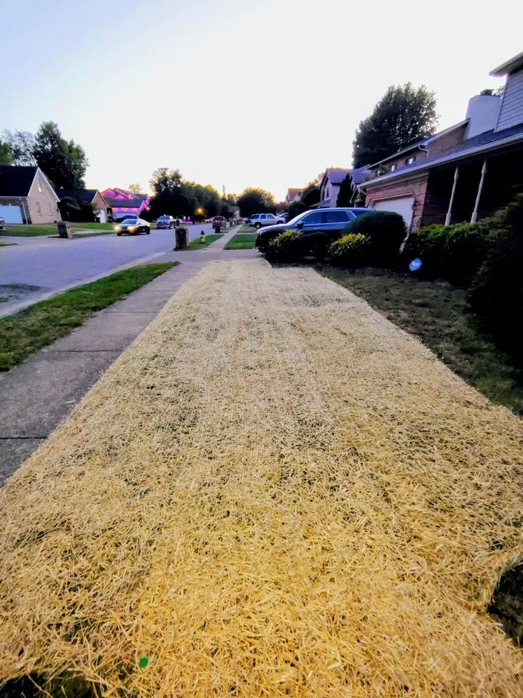 Affordable residential landscaping in Jeffersonville, IN by Mark's Quality Lawn Care