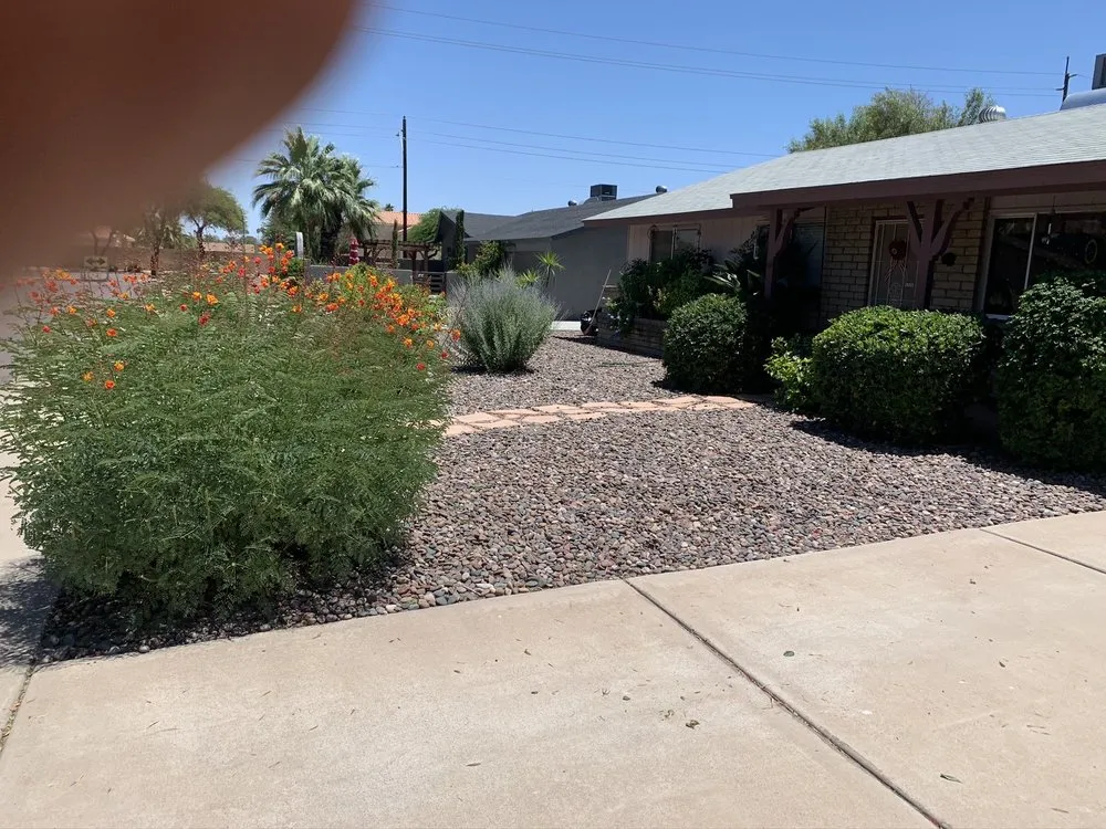 Professional residential landscaping in Buckeye, AZ by Mark’s Resilience Landscaping
