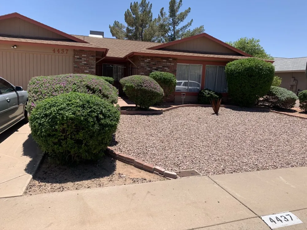 Local residential landscaping for homes across Buckeye, AZ - Mark’s Resilience Landscaping