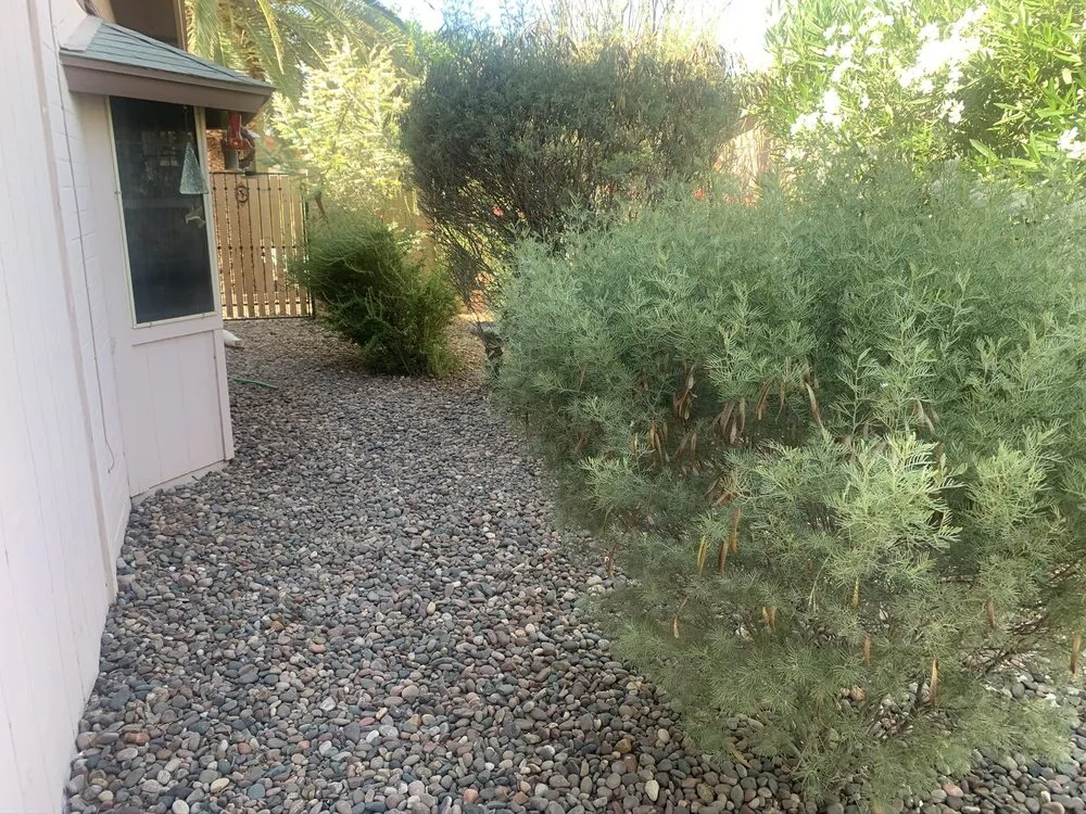 Expert outdoor landscaping experts serving Buckeye, AZ - Mark’s Resilience Landscaping