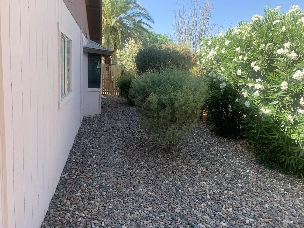 Affordable yard maintenance experts serving Buckeye, AZ - Mark’s Resilience Landscaping