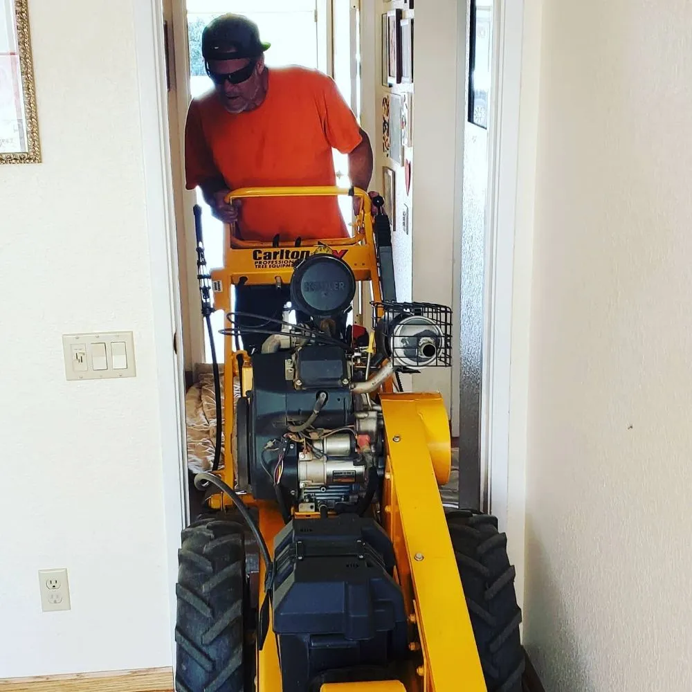 Local garden landscaping for beautiful yards in Fair Oaks, CA by Mark's Stump Grinding