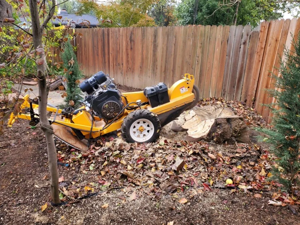 Local outdoor landscaping with custom design across Fair Oaks, CA - Mark's Stump Grinding