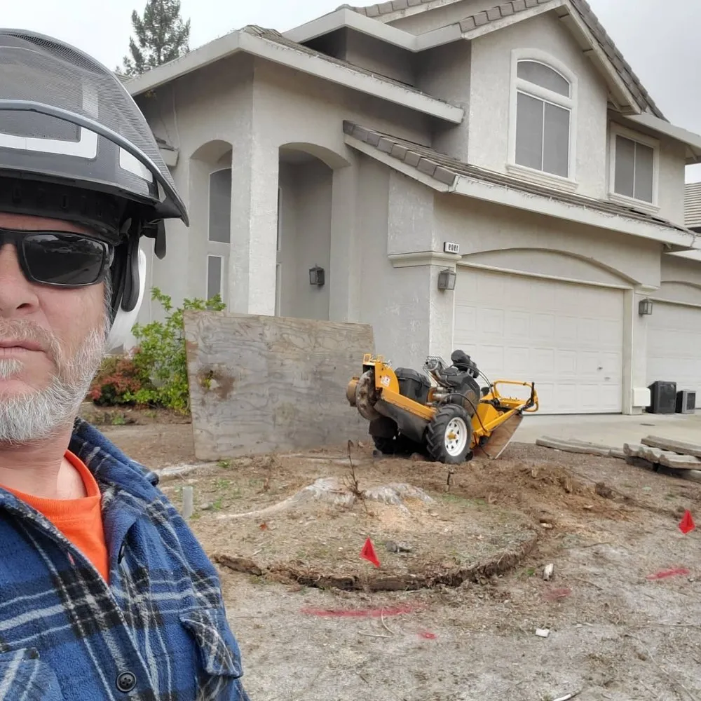 Reliable lawn mowing service experts serving Fair Oaks, CA - Mark's Stump Grinding