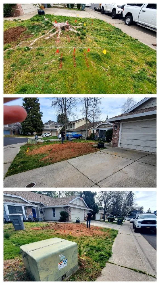 Reliable landscape installation experts serving Fair Oaks, CA - Mark's Stump Grinding