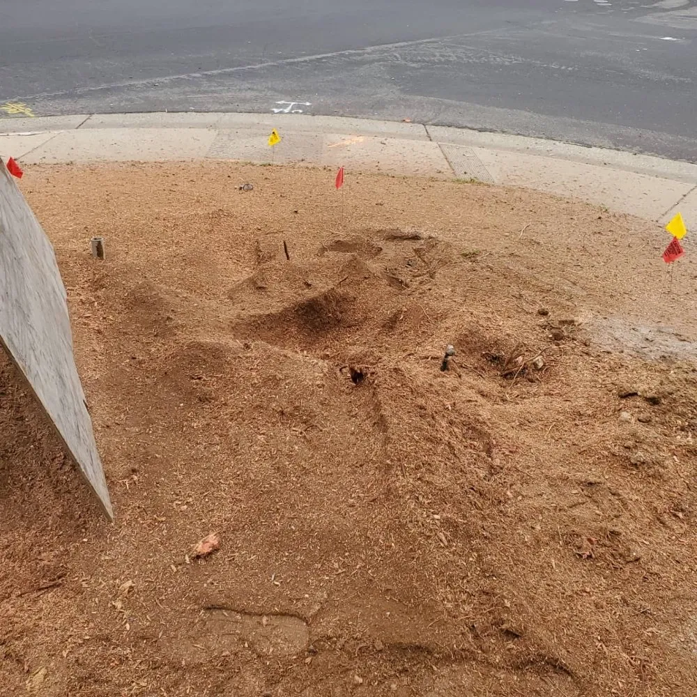 Trusted yard cleanup service for outdoor upgrades across Fair Oaks, CA - Mark's Stump Grinding