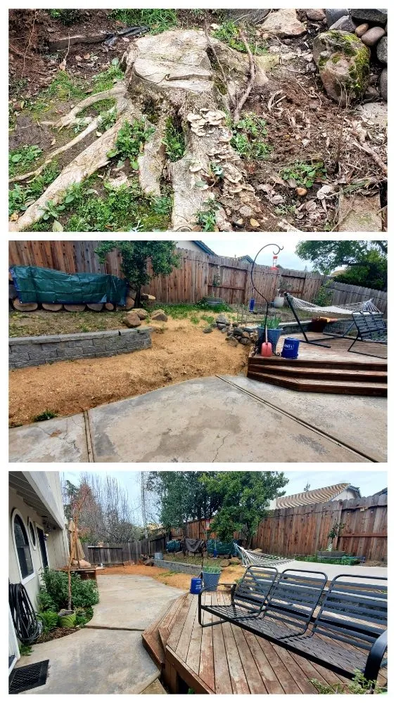 Affordable lawn care service in Fair Oaks, CA - Mark's Stump Grinding