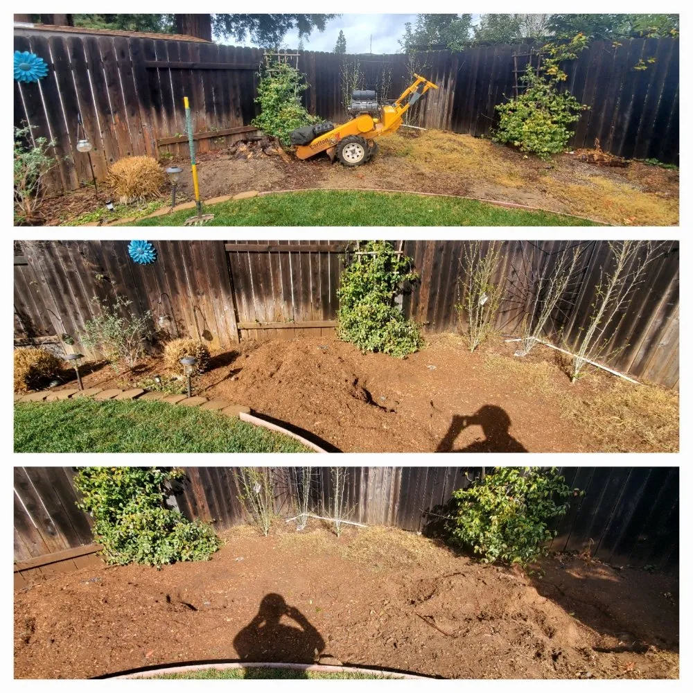 Affordable landscaping services experts serving Fair Oaks, CA - Mark's Stump Grinding
