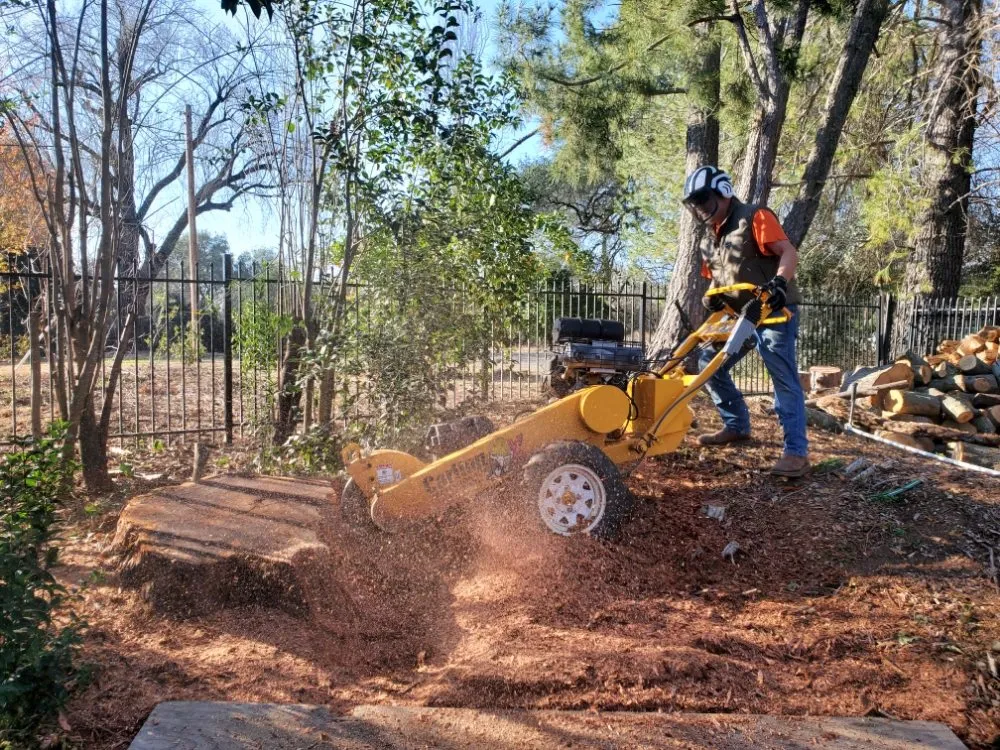 Expert yard maintenance in Fair Oaks, CA - Mark's Stump Grinding
