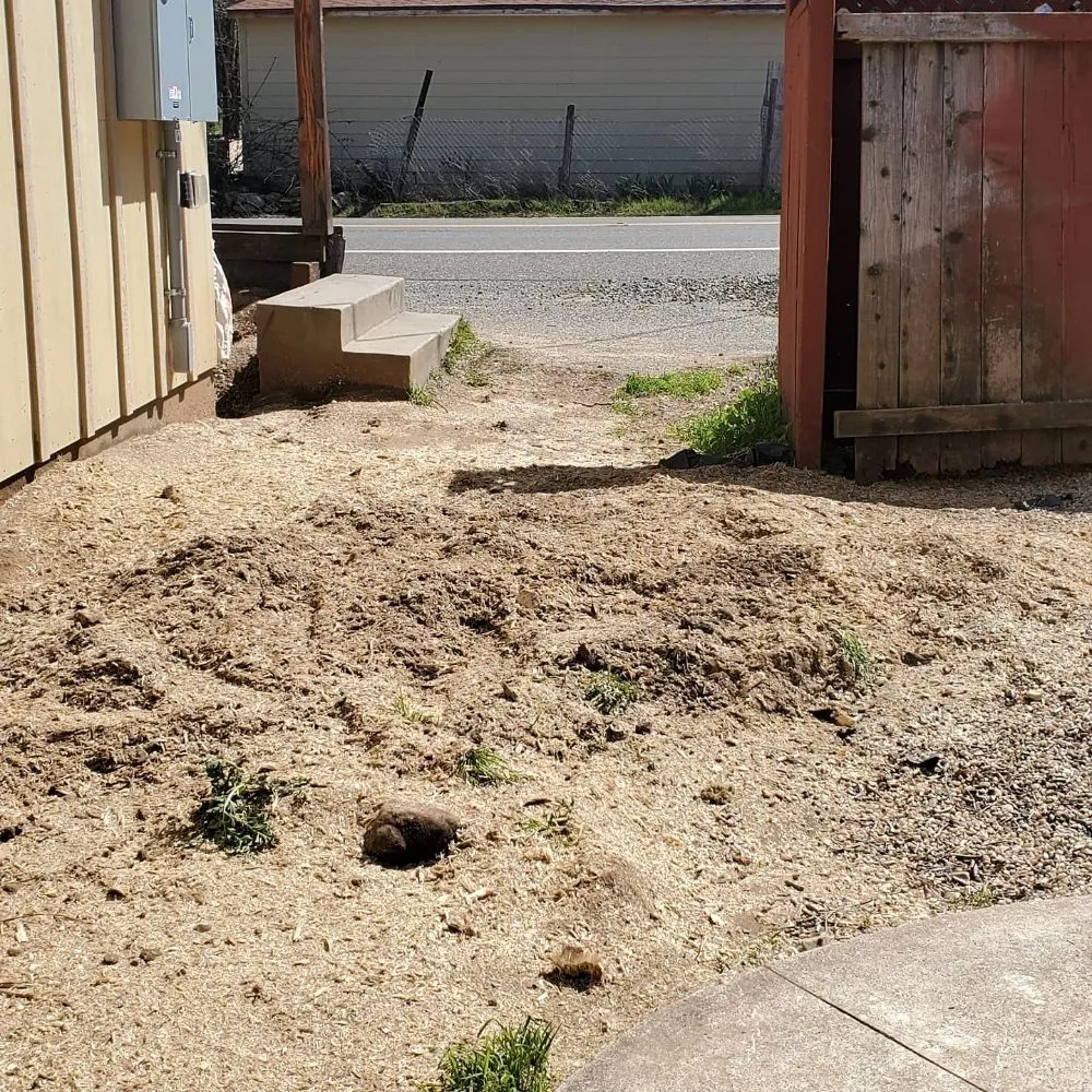 Custom landscape installation for outdoor upgrades in Fair Oaks, CA by Mark's Stump Grinding