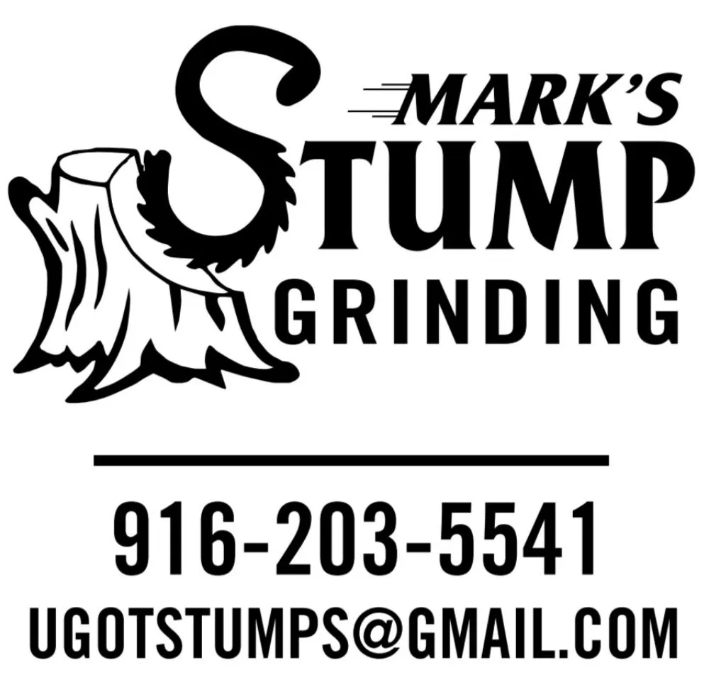 Professional outdoor landscaping in Fair Oaks, CA - Mark's Stump Grinding