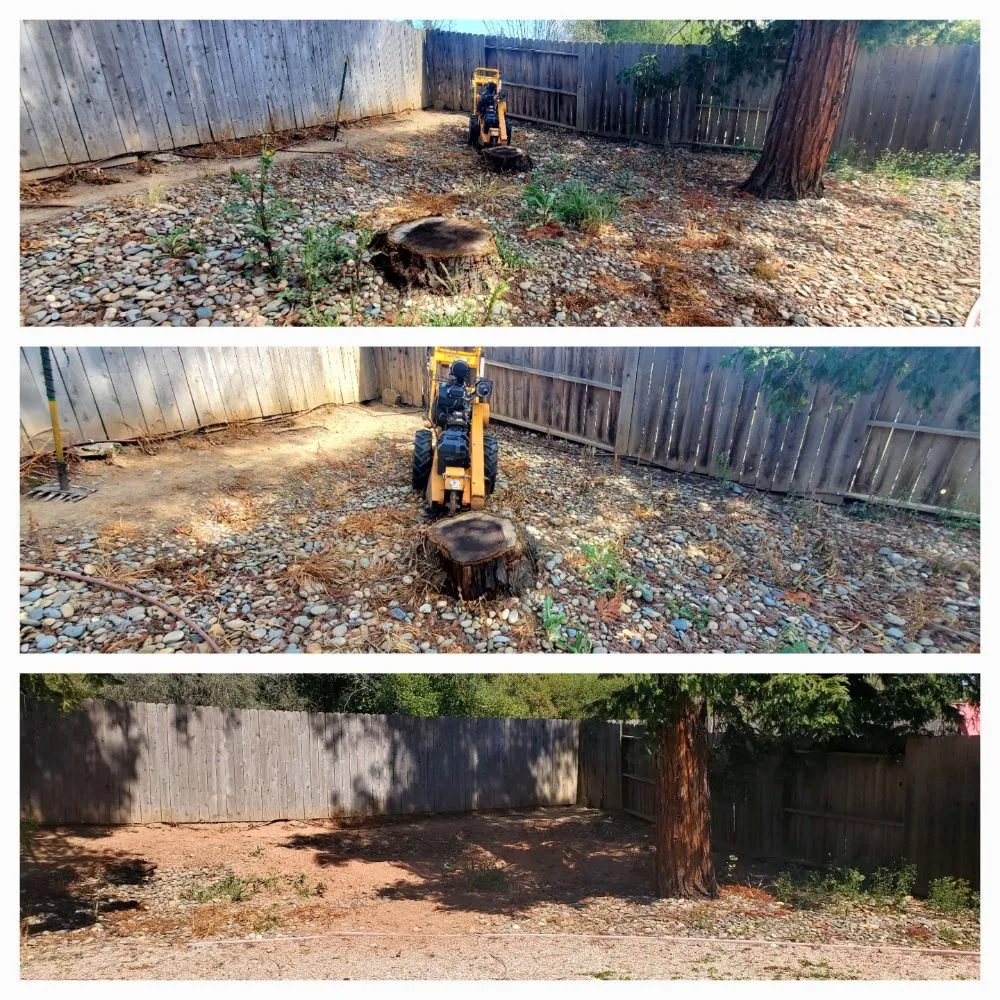 Affordable landscaping services for outdoor upgrades across Fair Oaks, CA - Mark's Stump Grinding