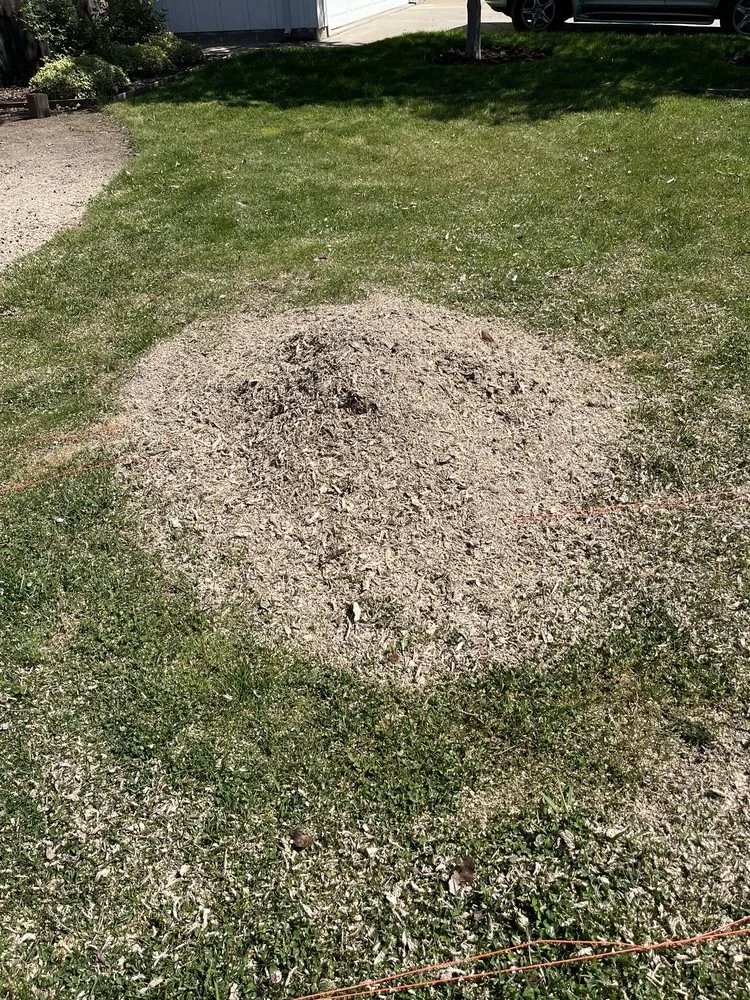 Expert lawn care service experts serving Fair Oaks, CA - Mark's Stump Grinding