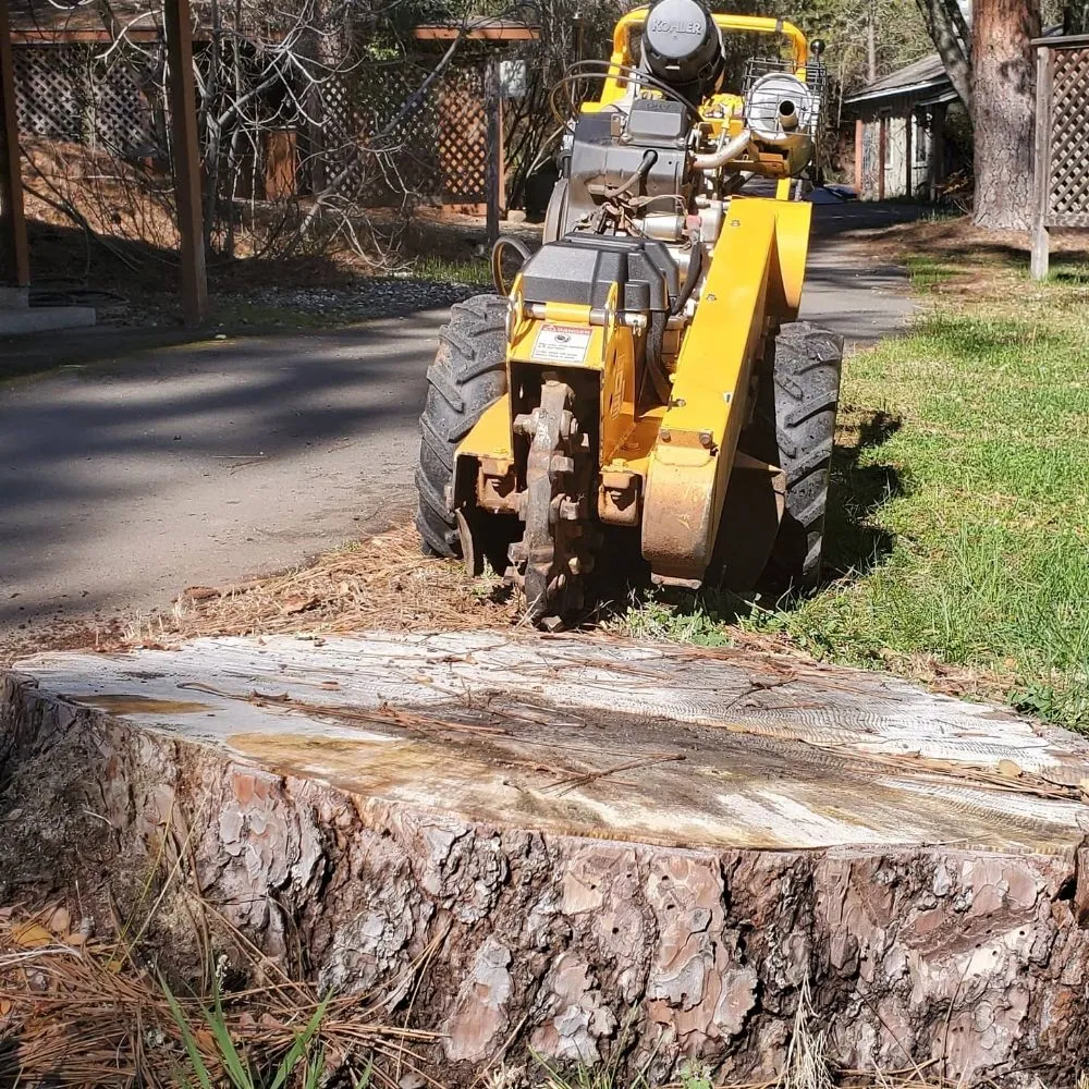Custom residential landscaping experts serving Fair Oaks, CA - Mark's Stump Grinding