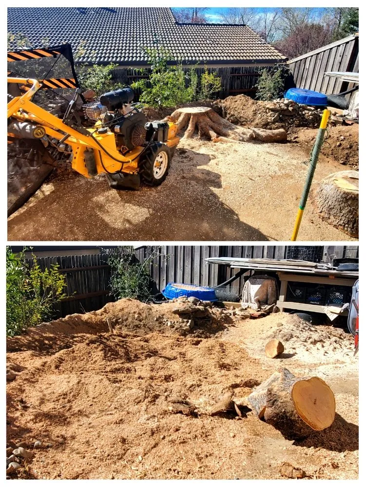 Expert yard cleanup service experts serving Fair Oaks, CA - Mark's Stump Grinding
