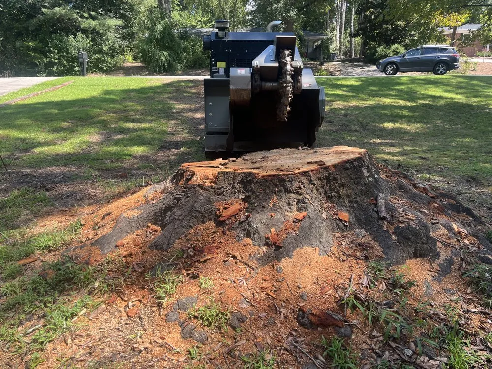 Reliable residential landscaping in Greer, SC - Mark's Stump Removal