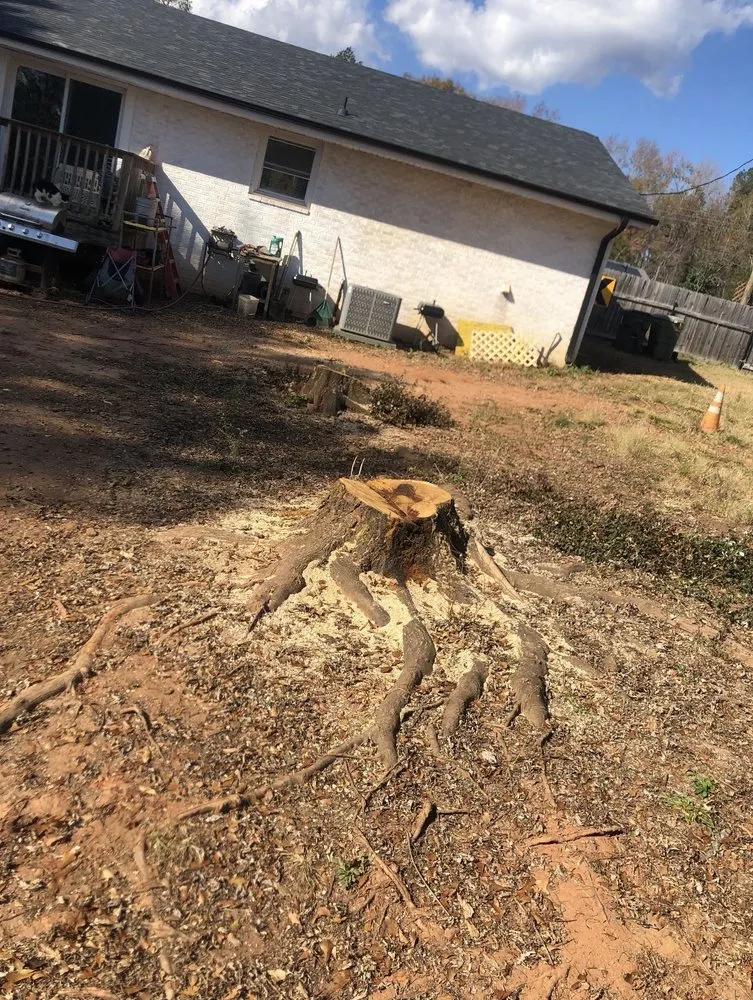 Local yard cleanup service in Greer, SC by Mark's Stump Removal