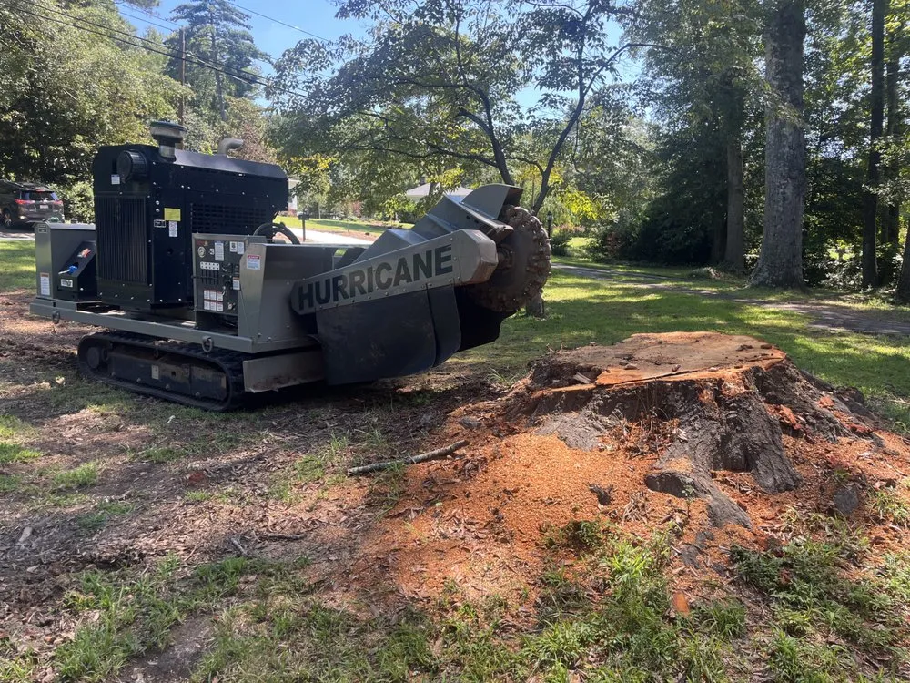 Affordable lawn mowing service in Greer, SC - Mark's Stump Removal