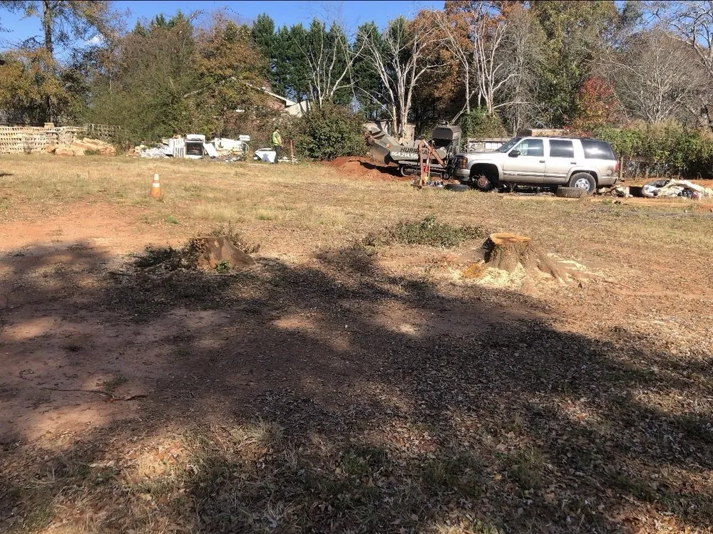 Top-rated lawn mowing service for year-round maintenance in Greer, SC by Mark's Stump Removal