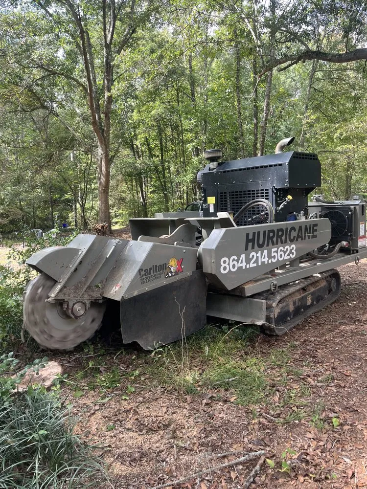 Local yard maintenance for beautiful yards across Greer, SC - Mark's Stump Removal