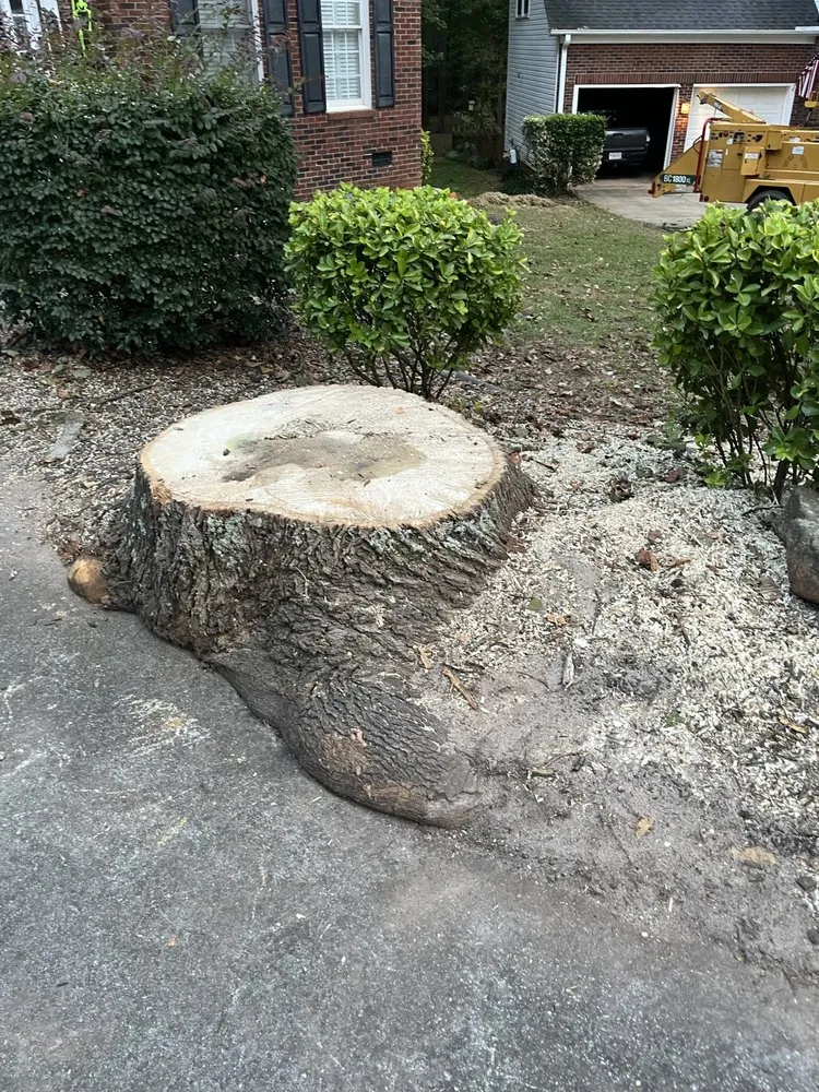 Local residential landscaping for year-round maintenance across Greer, SC - Mark's Stump Removal